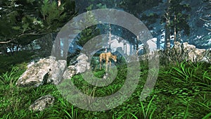 Woodland scenery with fawn in fairytale forest 3D