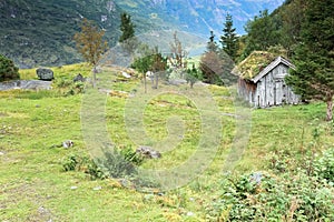 Woodland scenery near Briksdal glacier, Olden - Norway - Scandinavia