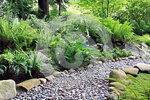 Woodland shade garden path photo