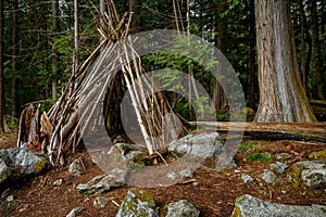 Woodland shelter on a survival and bushcraft course in British Columbia, Canada