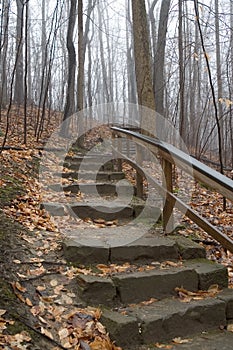 Woodland Stairs