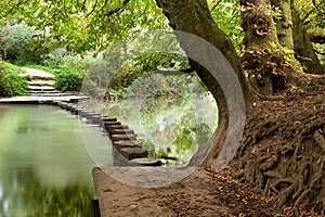 Woodland Stepping Stones