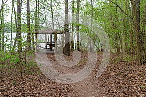 Woodland. Summer house on the lake in the woods.The road to the summer house