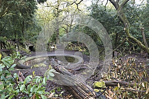 Woodland walk - The old fountain