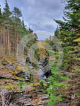 Woodland Walk Scotland Falls of Bruar