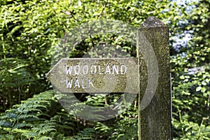 Woodland Walk Sign