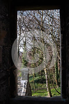 Woodland walk at St Bridget`s Kirk Fife