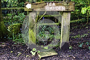 Woodland walk Tea Garden sign