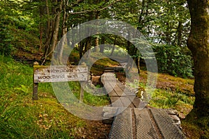 Woodland Walk Trail to the Famous Glenfinnan Viaduct View Point, Known from Harry Potter Movie Series, in Scotland