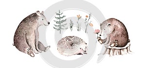 Woodland watercolor cute animals baby bear and hedgehog Scandinavian owls on forest nursery poster design. Isolated