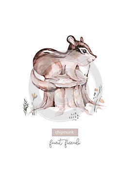 Woodland watercolor cute animals baby chipmunk. Scandinavian chipmunk on forest nursery poster design. Isolated