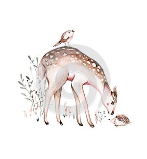 Woodland watercolor cute animals baby deer. Scandinavian cartoon forest nursery poster design. Isolated charecter photo