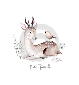 Woodland watercolor cute animals baby deer. Scandinavian cartoon forest nursery poster design. Isolated charecter