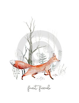 Woodland watercolor cute animals baby fox. Nursery bunny Scandinavian forest nursery fox design. Isolated character photo