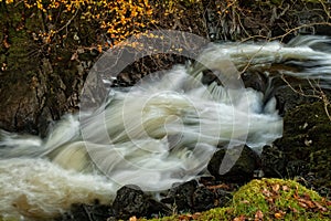 Woodland waterfall