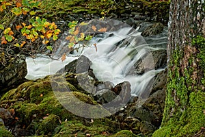 A woodland waterfall