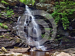 Woodland waterfall in Ricketts Glen State Park in Pennsylvania