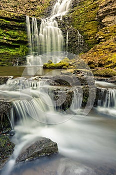 Woodland waterfall with small cascades.