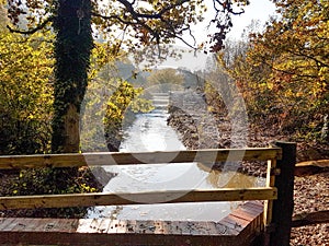 Woodland weir and stream running through Sussex woodland