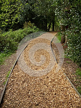 Woodland woodchip path