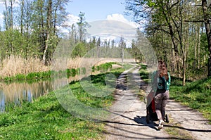 Woodlands in Dolina Baryczy, Poland