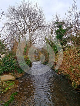 Woodlands Park (The Spinney), IvybridgeDevon uk