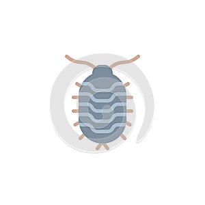 Woodlouse insect flat icon