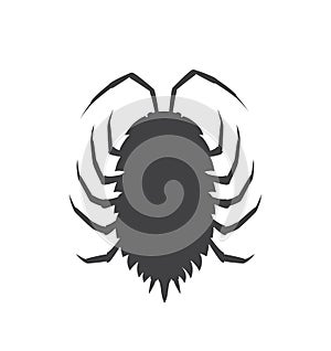 Woodlouse Insect Vector Silhouette