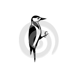Woodpecker icon silhouette photo