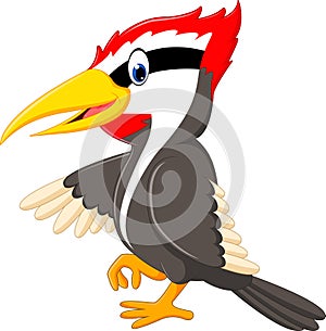 Woodpecker bird cartoon