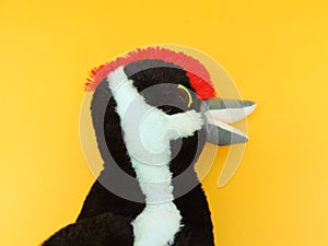 Woodpecker, Soft plush toy animals isolated on orange background