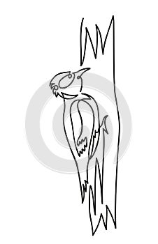 Woodpecker on a tree vector illustration on a white background