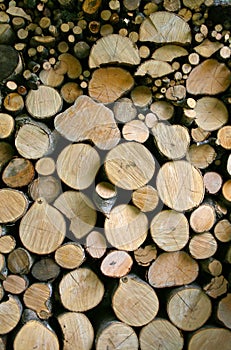 Woodpile photo