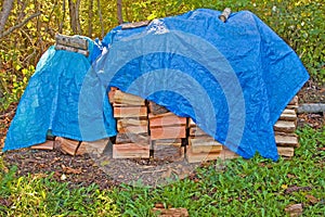 Woodpile photo