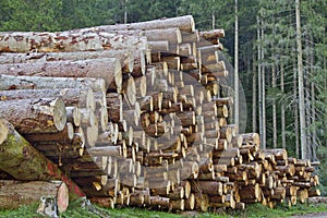 Woodpile