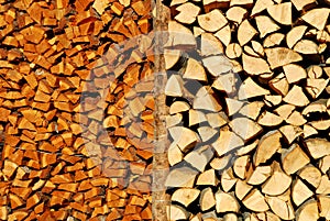 Woodpile photo