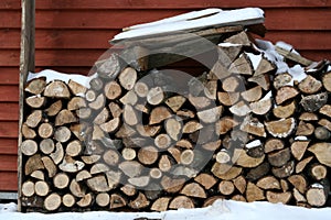 Woodpile photo