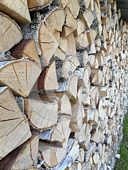 Woodpile of chopped birch firewood.