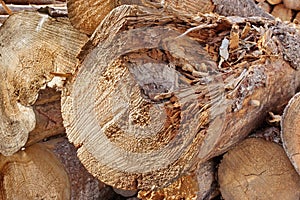 Woodpile of cut Lumber