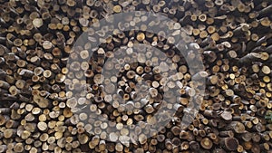 Woodpile