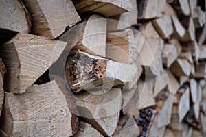 Woodpile with fireplace wood stacked