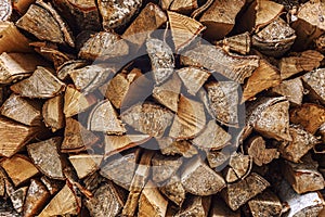 Woodpile with firewood. Close-up. Space for text