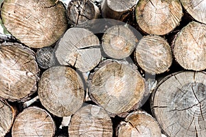 Woodpile in a forest. Close up view, rustick eco background