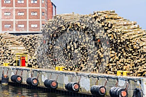 Woodpile in the port of Kohlberg