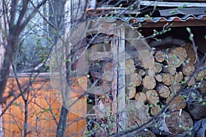 Woodpile