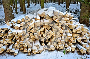 Stack of wood billets in snowy forest winter scene photo