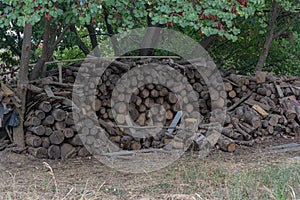A woodpile is stacked among the trees