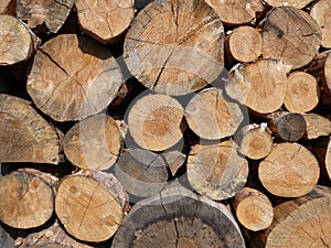 Woodpile of wooden logs