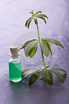 Woodruff herb aroma essence