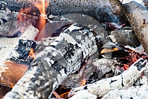 woods are burning in fireplace, warm, heat, fire